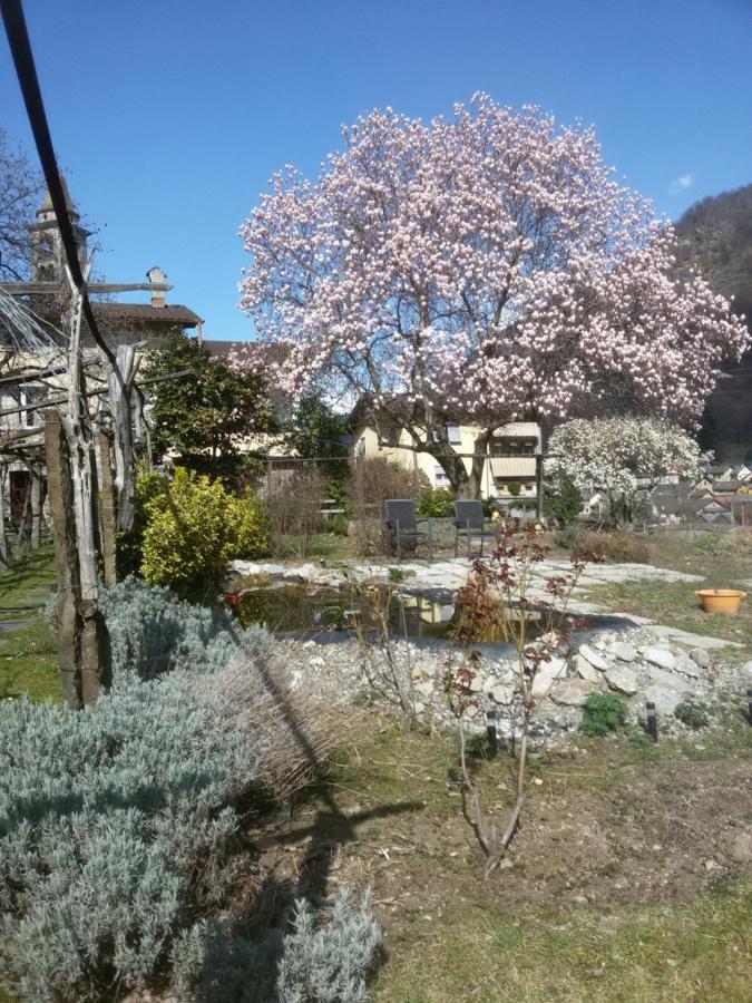 Grotto Pergola Bed & Breakfast Giornico Екстериор снимка