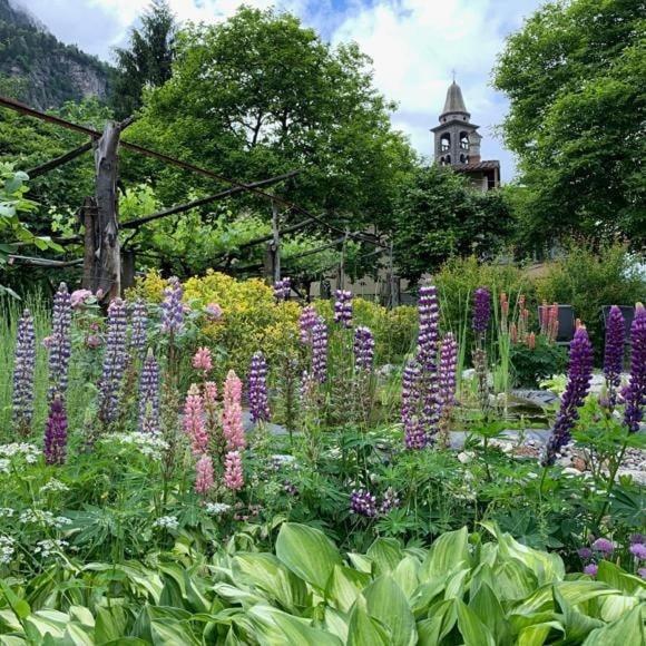 Grotto Pergola Bed & Breakfast Giornico Екстериор снимка